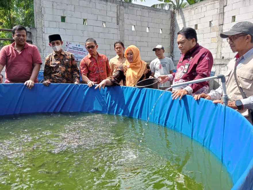 Serah Terima Bantuan Hibah Kolam Lele KOLEGA: Dukungan Nyata bagi Pokdakan Tirto Asri Tirtomoyo
